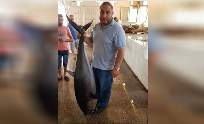 إصطياد سمكة تونا تزن 65 كلغ من بحر صيدا