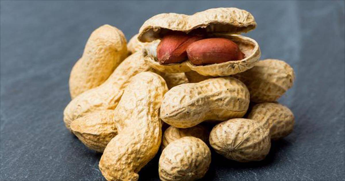حساسية الطعام في عيادة الجزيرة