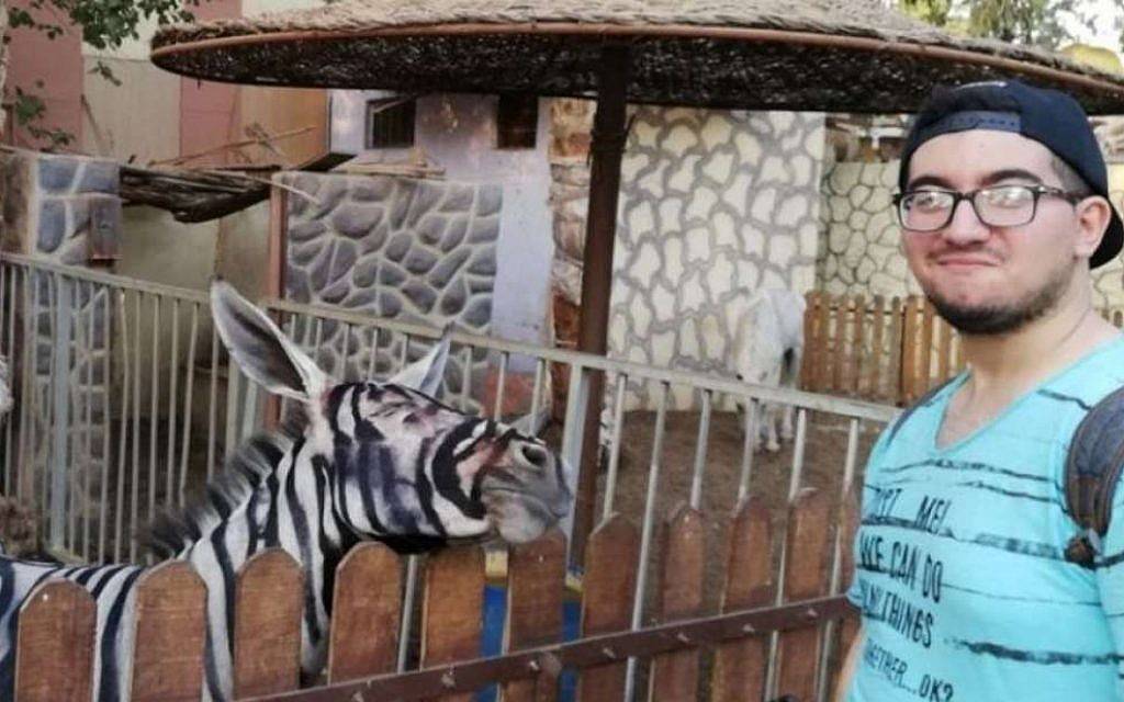 Egyptian zoo’s zebra appears to be a painted donkey
