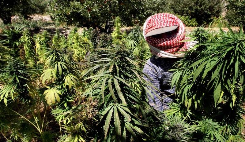 الى اللبنانيين: اطمئنوا، الليرة اللبنانية بخير! ولكن لتشريع الحشيشة "غير قصة"