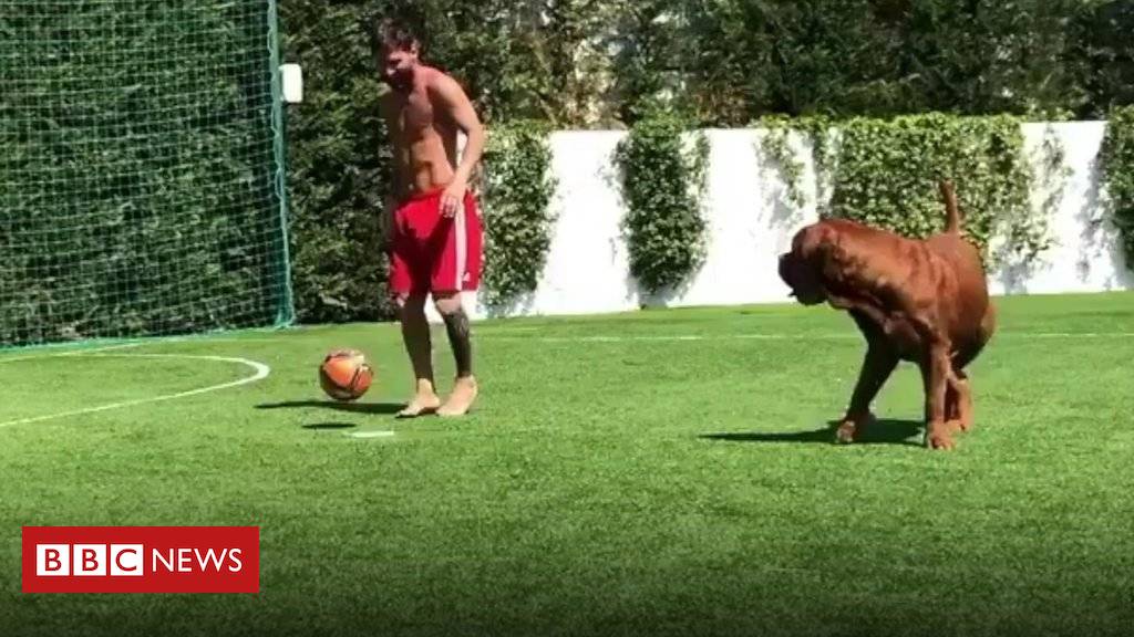 Messi has a kickabout with his dog