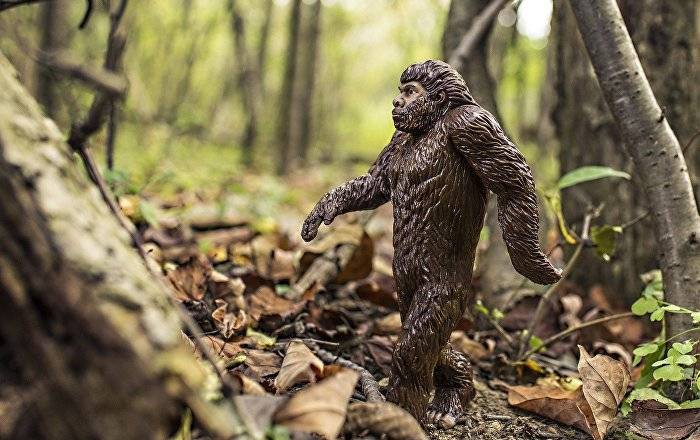 US Congressional Candidate Trashes Rival as ‘Devotee of Bigfoot Erotica’