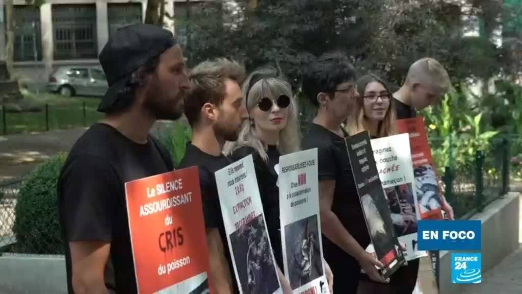 El activismo vegano: la tentación del derramamiento de sangre