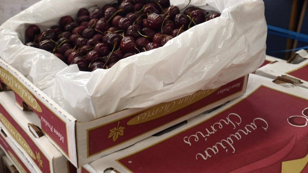 US-China trade spat weighs on cherry imports