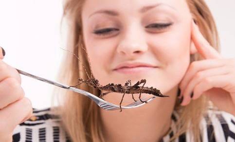 إليكم فوائد تناول الصراصير للصحة!