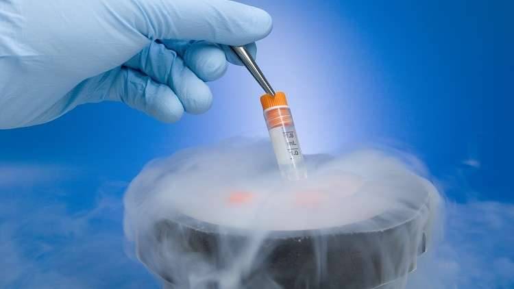 لماذا تنتج تقنية تجميد البويضات إناثا أكثر من الذكور؟