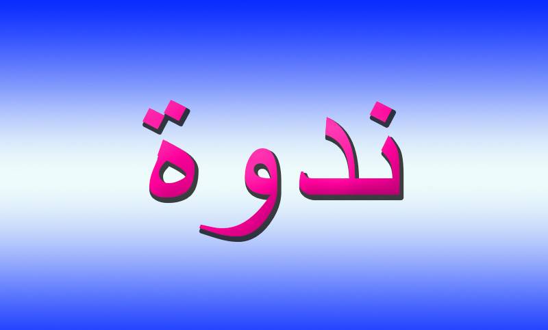 ندوة عن أزمة التعليم الخاص في جامعة البلمند في سوق الغرب: لمؤتمر تربوي لايجاد الحلول والتنويه بمشروع حل إقترحه كمال جنبلاط