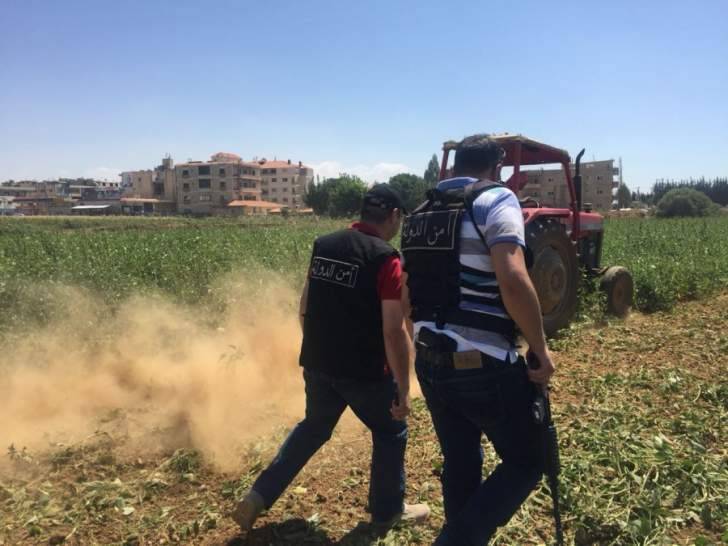 إتلاف مزروعات على ضفاف الليطاني وتحرير ضبط مخالفة بحق من يروي من النهر