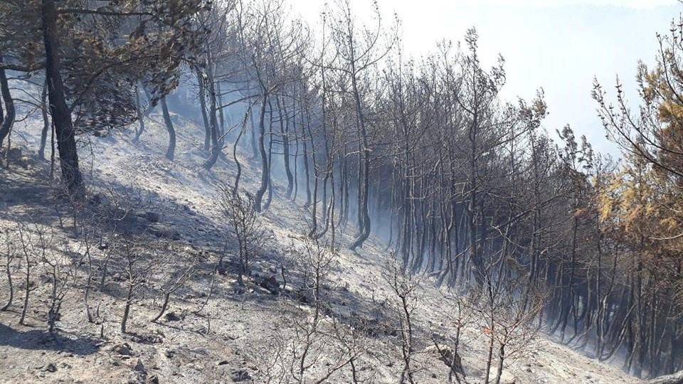 السيطرة على حرائق الوادي الغميق في أعالي القبيات