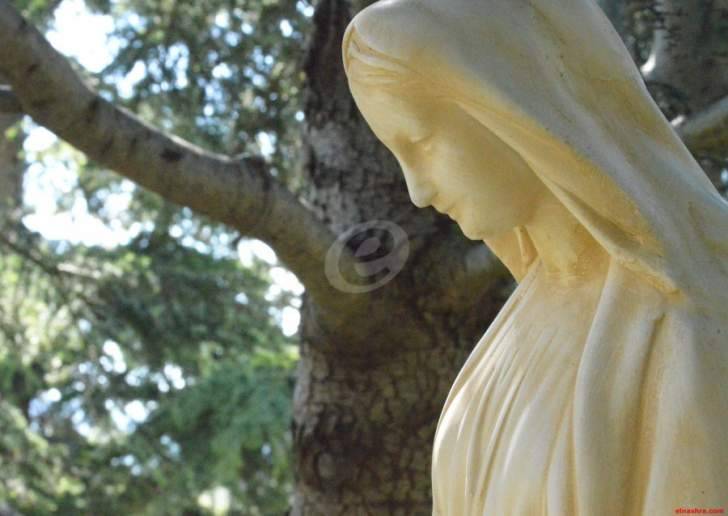مدينة النبطية أحيت عيد سيدة الانتقال بقداديس عمت الكنائس في المدينة
