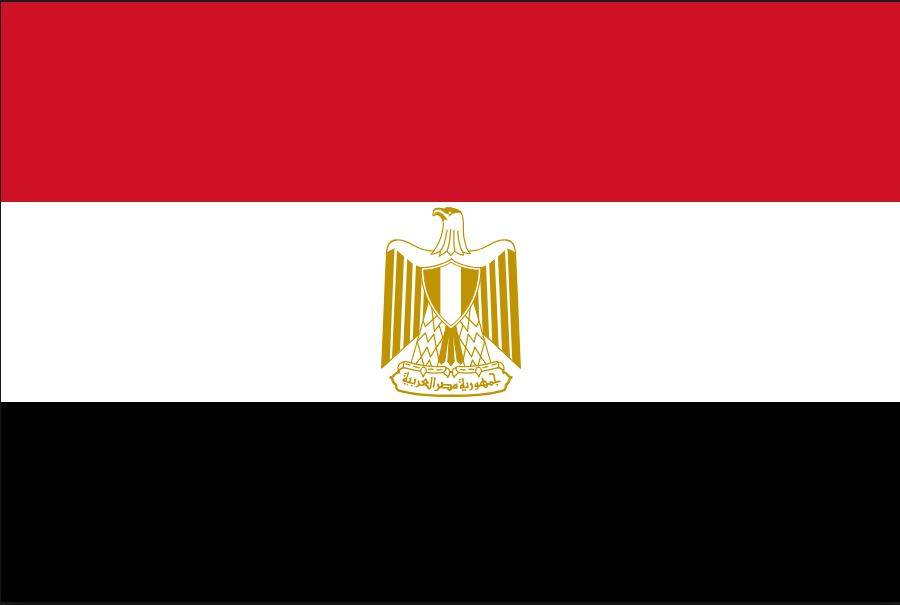 وزارة: مصر تستورد قمحا بقيمة 980 مليون دولار في مارس-يوليو