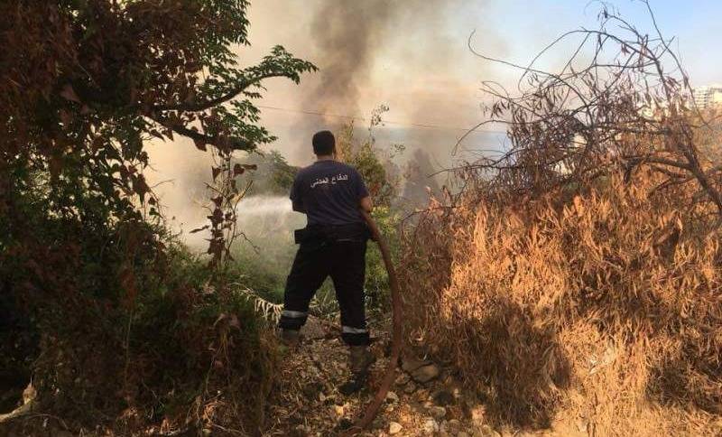إخماد حريق في غزير كسروان.. "أشجار برية بين الضحايا"