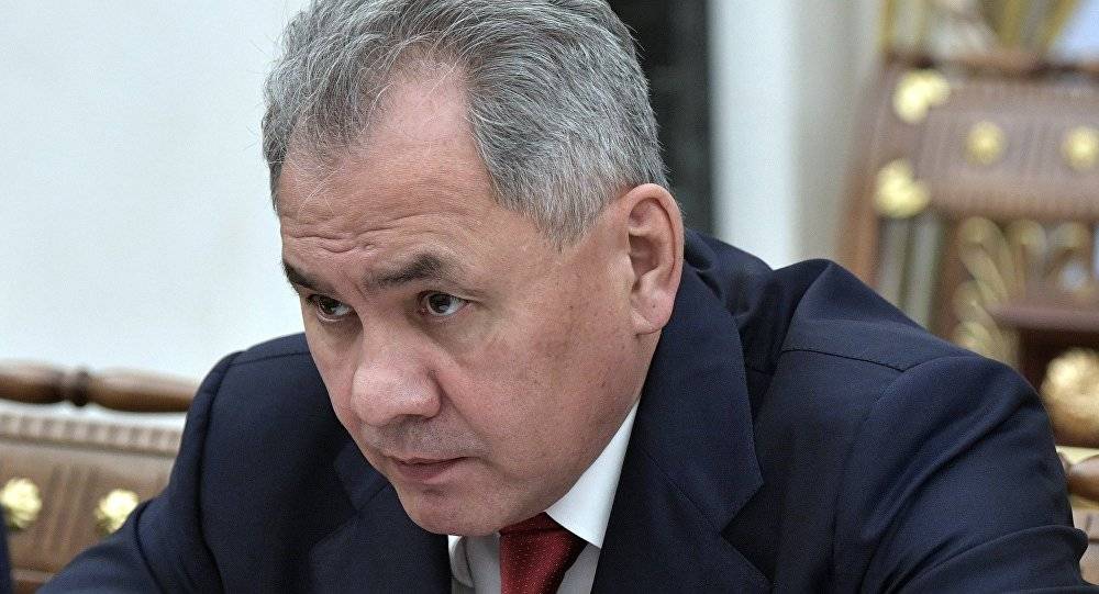 وزير الدفاع الروسي يبحث مع نظيره التركي الوضع في سوريا والتعاون الثنائي