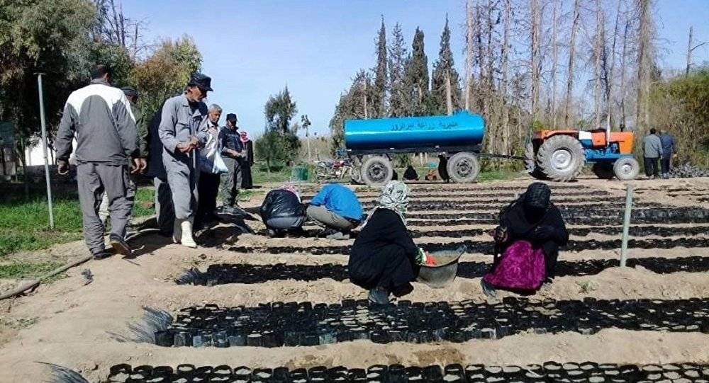 هذا ما أعاد 500 ألف "ديري" إلى دير الزور السورية
