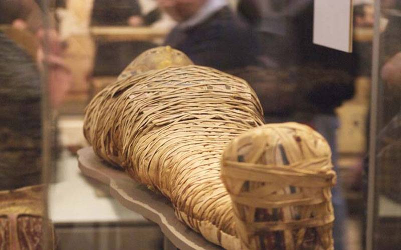 سر مومياوات الفراعنة... 13 مرحلة للتحنيط وإخراج المخ والأمعاء !