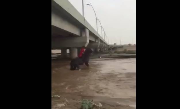 بالفيديو: تحدّى سيلاً جارفاً بحصانه.. وهكذا كانت النتيجة !