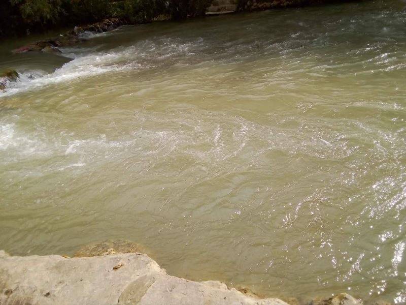 الجنوبيون الخضر أطلقت حملة لمقاطعة المتعدين على الليطاني