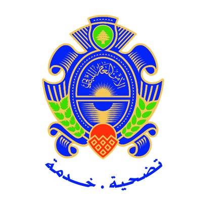 الأمن العام: توقيف ستة أشخاص بجرم تزوير مستندات سفر
