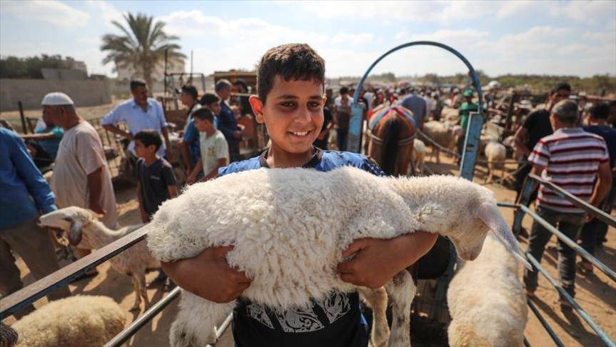 غزة.. الأضاحي تشكو تردي الأوضاع الاقتصادية