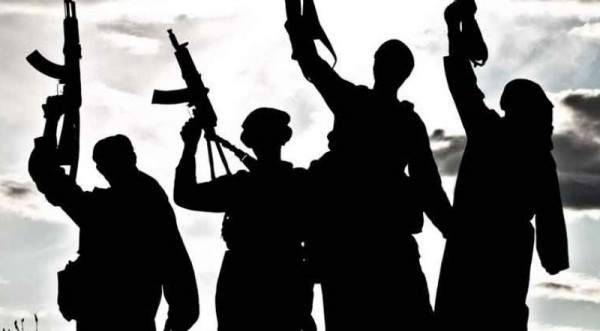 مجموعة إرهابية تحتجز نجم "وادي الذئاب"...