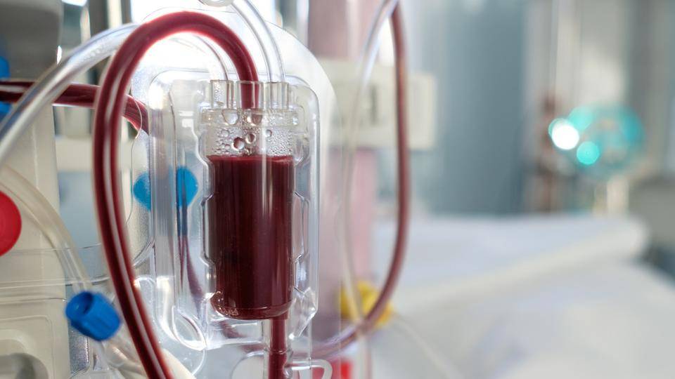 خبر سار.. العلاج بالتغذية يؤخر الغسيل الكلوي !