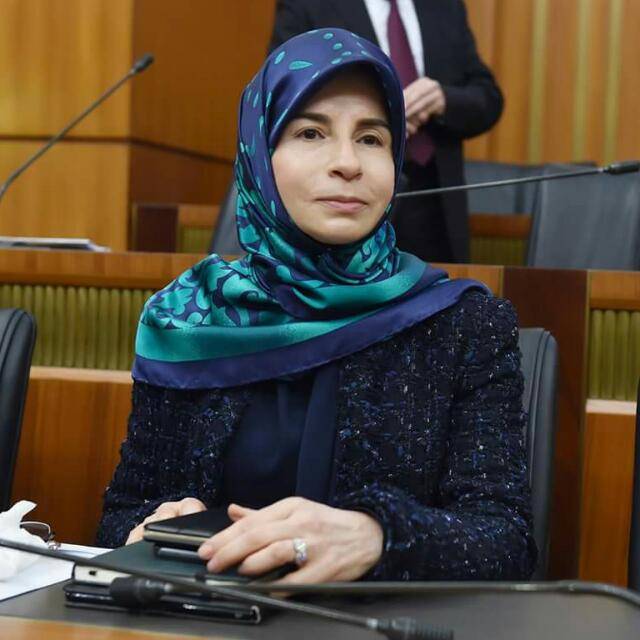 عز الدين تابعت حالة الاخوين فاعور مع الوزارات المعنية