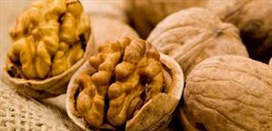لمرضى السكري.. اجعلوا الجوز رفيقكم الدائم