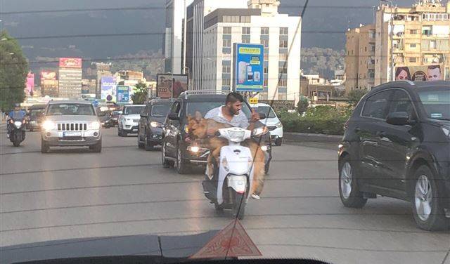 بالصورة: مخاوف لدى السفير الهولندي من القيادة في لبنان