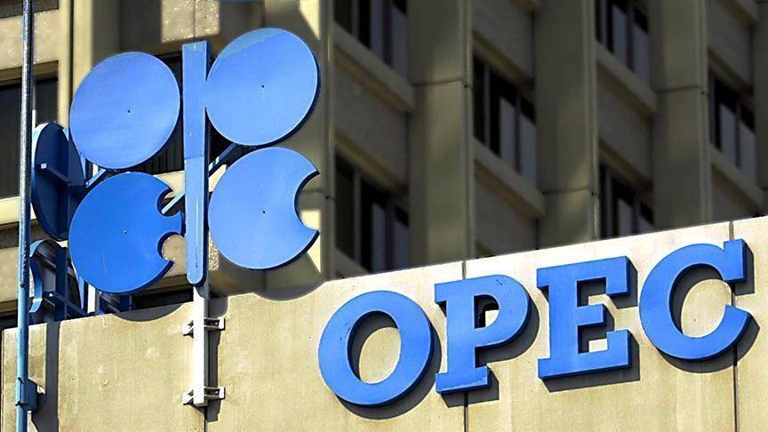 عائدات بلدان أوبك ترتفع بنسبة 28.6 في المئة العام الماضي