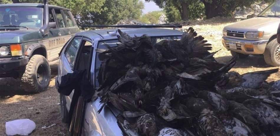 بعد مجزرة الطيور..هذا ما فعله وزير البيئة