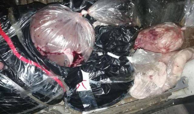بالصور: ضبط لحوم وألبان فاسدة ومهرّبة في الهرمل