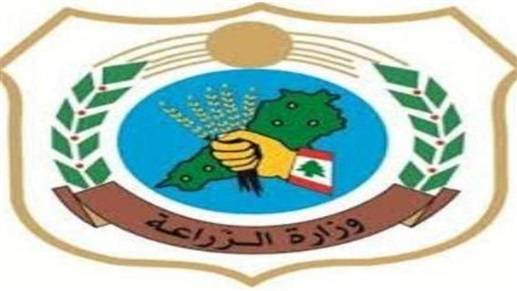 انتشار مرض خطر ومميت يسمى "الليشمانيا"... ما صحة الخبر؟