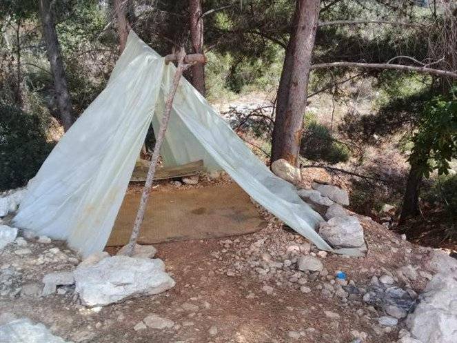 في عملية نوعية.. توقيف مفتعل الحريق بأحراج ساحل علما بأقل من 24 ساعة