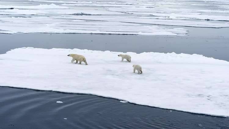 هل يفشل اتفاق باريس للمناخ؟