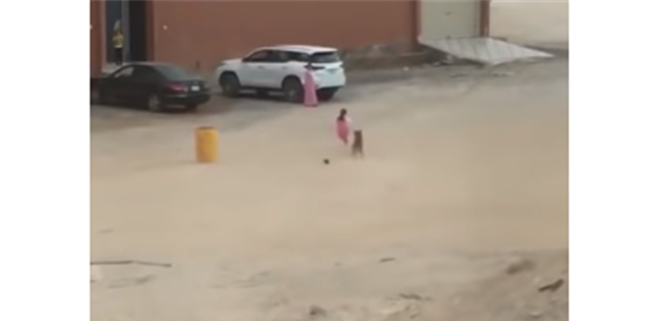 بالفيديو: طفلة تنجو من أنياب كلبٍ مسعور.. في اللحظات الأخيرة!