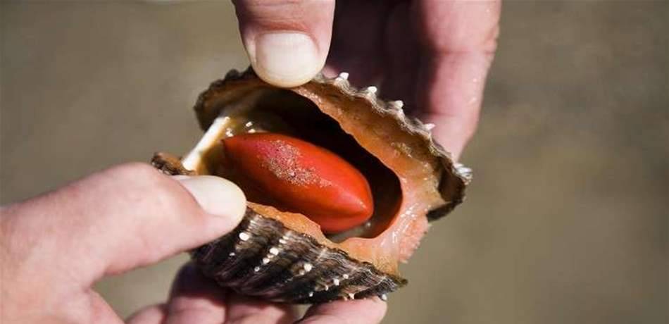 علاج جديد لبعض أنواع السرطان!!