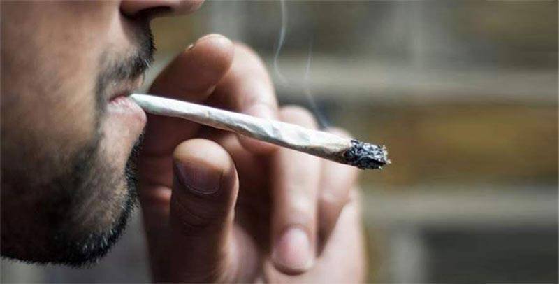 مطلوب 5 متذوقين محترفين للحشيش  ...والراتب خياليّ !