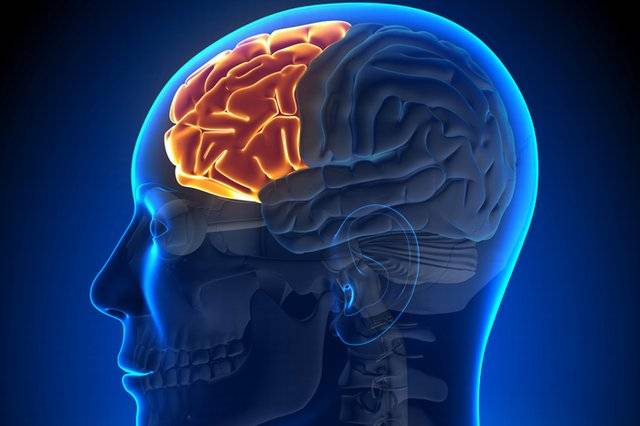 أطعمة ومشروبات قد تكون قاتلة للرأس