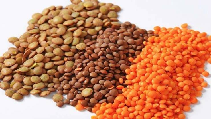 دراسة تكشف 'أسرارا' طبية للعدس!