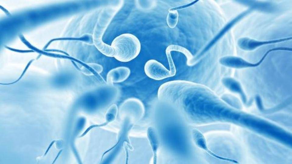 خصوبة الرجال.. دراسة تكشف فترة الذروة