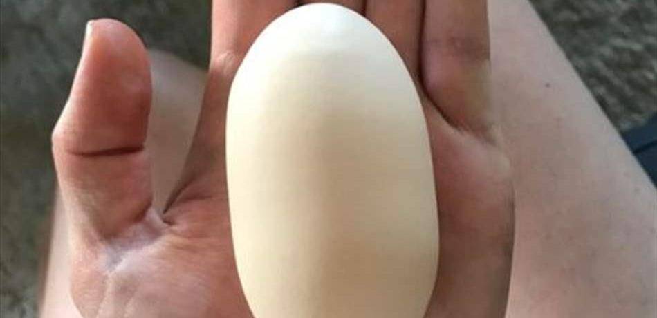 بالصورة: بيضة طويلة تشعل الإنترنت!