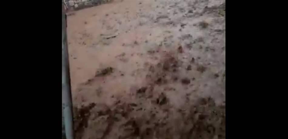 بالفيديو: سيول جارفة في الصويري - البقاع الغربي