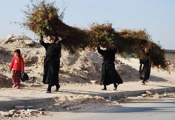 لن نعرف قيمة الحياة سوى بالفقر