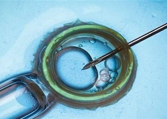 الطبّ يعيد الأمل بالإنجاب للمصابين بالعقم