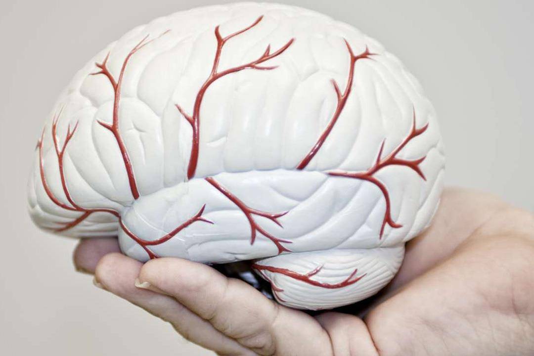 دراسة: بعض أدوية القلب تعالج سرطان الدماغ عند الأطفال