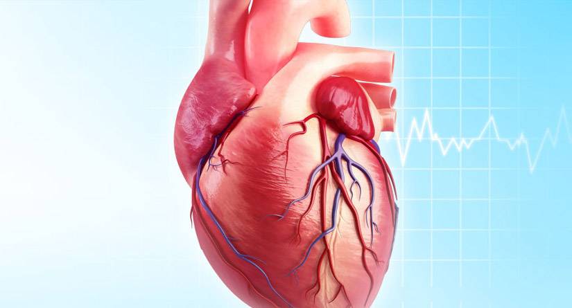 ضيق الصمام الميترالى له طرق تعامل دوائية وجراحية متنوعة