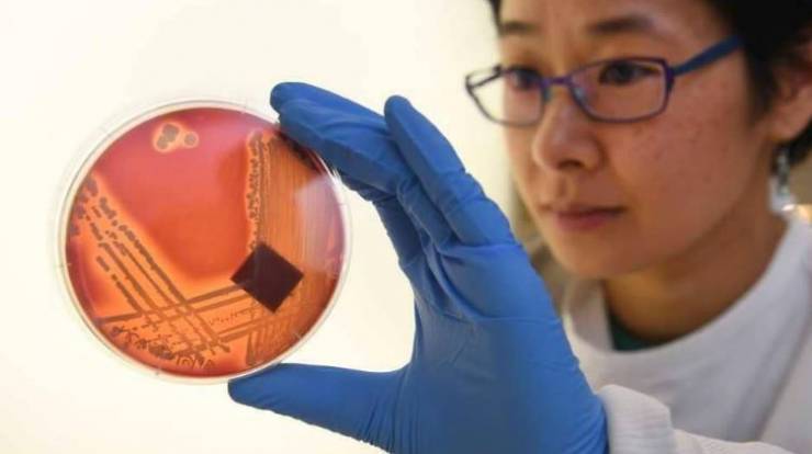 مقاومة المضادات الحيوية.. خطر ينذر بقتل الملايين في 2050