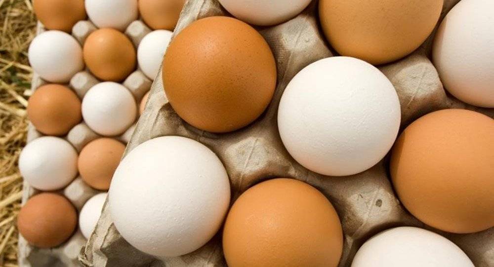 ما الفرق بين البيض البني والأبيض؟