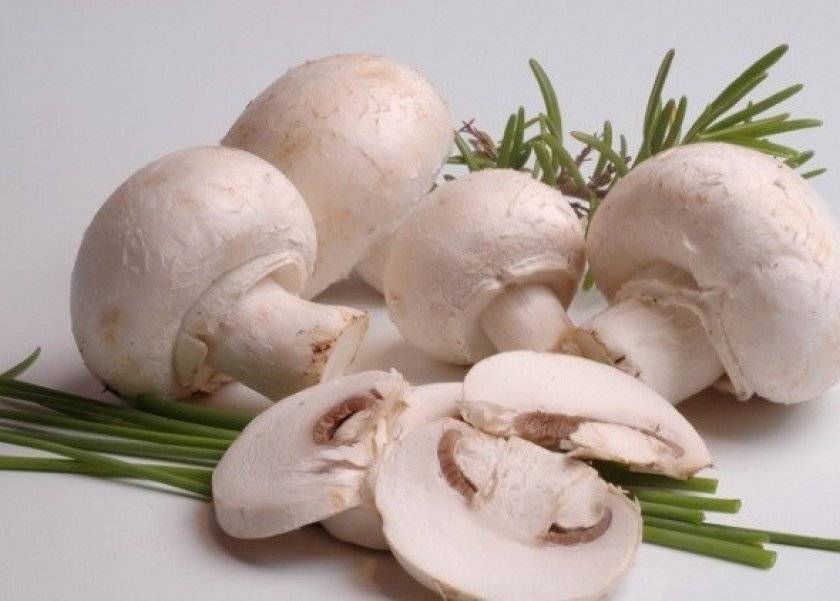 مركبات طبيعية في 