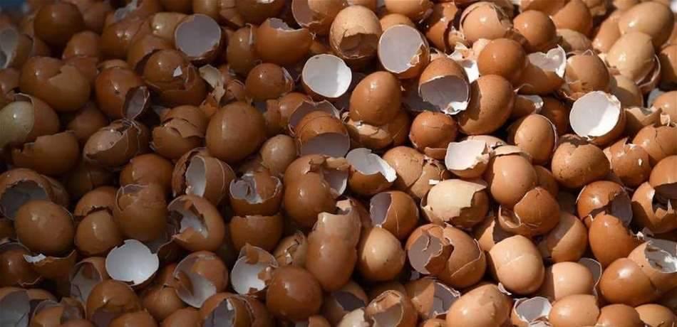بعد قراءة هذا الخبر.. لن ترموا قشور البيض والعظام!